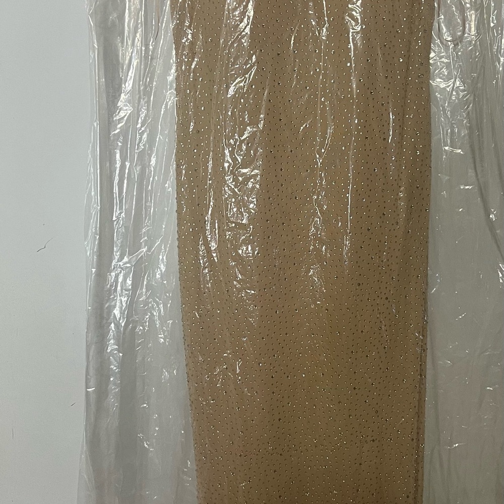 Fashion Nova Elegant long, rhinestone backless nude dress